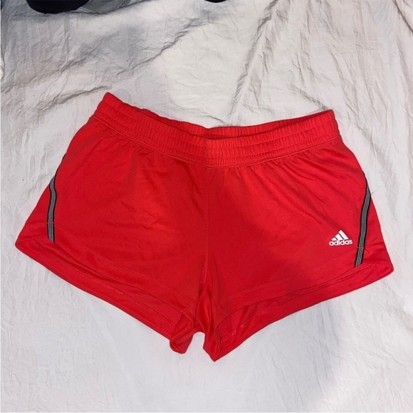 adidas Pants - Adidas Shorts